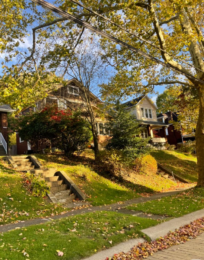 Tree-lined Carmichael neighborhood