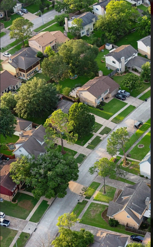 Tree-lined Citrus Heights neighborhood seen from above
