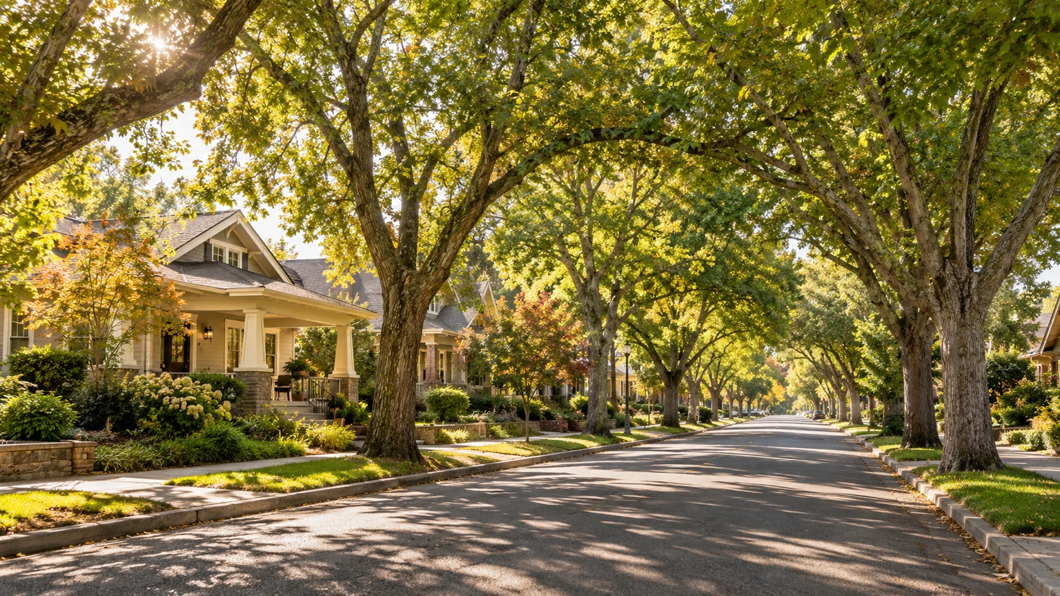Illustration of a sunny Old Roseville-inspired neighborhood with welcoming homes and mature trees forming a canopy over the street