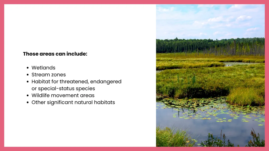 Biological resources assessment graphic showing a wetland habitat alongside a list of environmentally sensitive areas, including wetlands, stream zones, protected species habitats, wildlife movement areas, and other significant natural habitats.